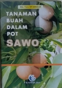 TANAMAN BUAH DALAM POT SAWO